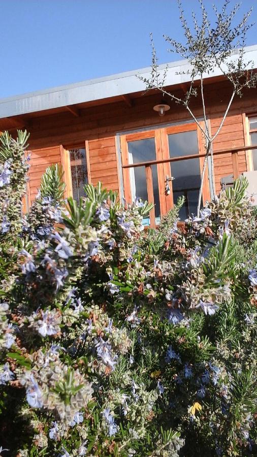 Mare E Legnu Bed and Breakfast Peri Eksteriør billede